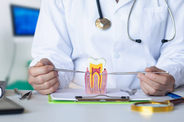 Best Emergency Dental Care for Broken or Chipped Teeth in West Plains, MO